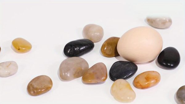 Natural Polished River Rocks 40LBS - Decorative Garden Stones for Landscaping, Indoor Plants, Succulents, Aquariums - Smooth Ornamental Pebbles for DIY Projects