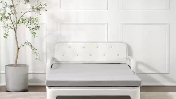 product-4fd16385cf72f4fd043f8d41cce95c79d67d94bd.goods_.000001 Modern Three-in-one Extendable Sofa Bed, Equipped With 2 Throw Pillows And A Solid - Wood Storage Box, Suitable For Patios And Living Rooms