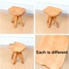 product-fancy-1b367022-9c2d-4bf1-be4b-ed1a7470878f Courtyard Footstool, Handcrafted Live Edge Wood Stool | One-of-a-Kind Natural Tree Slab for Use As Plant Stand, Patio, Garden & Cozy Reading Nook