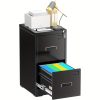 product-fancy-39a348e4-3909-4e7e-9921-0a19c88e2e13 2 Drawer File Cabinet, Metal Office File Cabinet With Lock, Vertical Organizer Filed Cabinets For Letter, File Box And A4 Documents, For Home Office