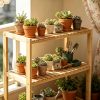 product-fancy-72b62b22-2a00-4e6c-bb00-2c7070088174 Ladder Shelf, 3-Tier Shelf Stand, Display with Wide Storage Display Stand, Multifunction Standing Organizer Shelf for Home Office And Kitchen