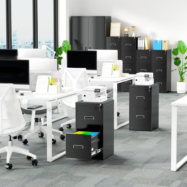 product-fancy-732f5582-5dfd-47b0-9342-a5894430a423 2 Drawer File Cabinet, Metal Office File Cabinet With Lock, Vertical Organizer Filed Cabinets For Letter, File Box And A4 Documents, For Home Office