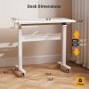 product-fancy-792546f0-0534-49a4-a0e9-9b5ad994a68d Wheeled Mobile Standing Desk, Pneumatically Adjustable Height Desk for Walking, Rolling Computer Workstation for Home Office