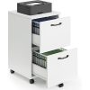 product-fancy-a4481056-7d67-4128-9c4a-6059b67b5ea0 2 Drawer Filing Cabinet White, Rolling Wood File Cabinets with Printer Stand Under Desk Storage Lockable Wheels, Home Office Organizer for A4 Letter Legal Size Documents, Black/White