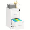 product-fancy-a7a6fc71-932d-402a-b981-f7e944ff1ce2 2 Drawer File Cabinet, Metal Office File Cabinet With Lock, Vertical Organizer Filed Cabinets For Letter, File Box And A4 Documents, For Home Office
