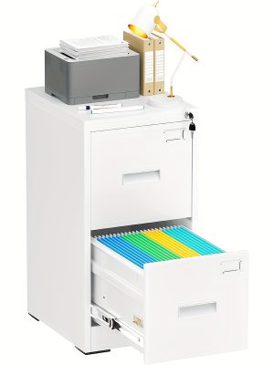 2 Drawer File Cabinet, Metal Office File Cabinet With Lock, Vertical Organizer Filed Cabinets For Letter, File Box And A4 Documents, For Home Office