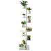 product-fancy-b7543481-26c0-4028-b36c-2ad4daba3993 Spine Bookshelf | 9-layer Stylish Metal Bookshelf | Vertical Standing Book Tower | Study Bookshelf | Decorative Storage Rack for Decoration, Books, Storage, Bookcase, Small Plants