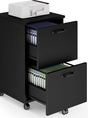 2 Drawer Filing Cabinet White, Rolling Wood File Cabinets with Printer Stand Under Desk Storage Lockable Wheels, Home Office Organizer for A4 Letter Legal Size Documents, Black/White