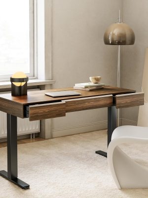 Recording studio furniture Electric Standing Desk with 3 Drawers, 48 Inches Height Adjustable Stand Up Desk, Whole-Piece Board Computer Workstation with 4 Memory Height Settings, Black Walnut