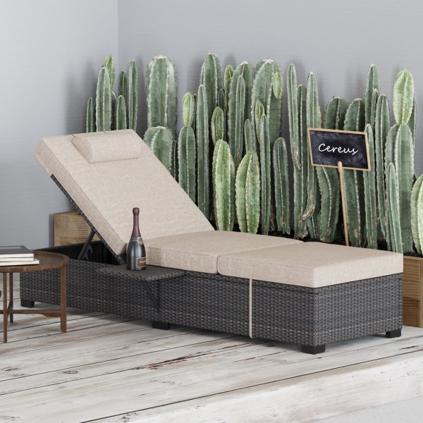 [Outdoor Sun Loungers] 2pcs Patio Chaise Lounge Set | Outdoor Adjustable Reclining Sun Loungers with PE Wicker & Steel Frame, Water-Resistant Cushions for Poolside, Beach, Backyard, All-Weather Furniture by GOCAPTAIN