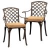 [2pcs Set] Antique Bronze Black Cast Aluminum Rustproof Outdoor Lounge Chair Classical Patio Park Single Chair Set Lightweight and Durable Iron Furniture Set
