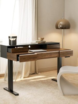 Electric Standing Desk with Drawers | 48 Inches Height Adjustable, Monitor Shelf, Whole-Piece Board, 4 Memory Height Settings, Classic Wood Color, PERLECARE