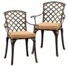 [2pcs Set] Antique Bronze Black Cast Aluminum Rustproof Outdoor Lounge Chair Classical Patio Park Single Chair Set Lightweight and Durable Iron Furniture Set