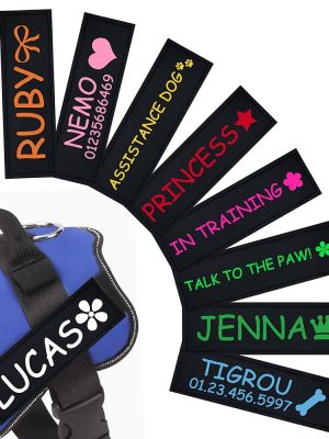 [Custom] 2pcs/Lot Multi-Color Font Pet Harness Patch Paw Print Crown Heart Bone Bow Flower Icon Custom Name 9 Colors Available Lead Additions Dog Chest Harness Additions Outing Supplies