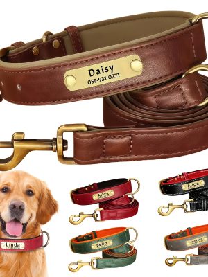 1pc Personalized Engraved Dog Collar with Nameplate - Name/Initials/Phone/Address Suitable for Daily Wear or Gifts, Adjustable Collar & Pet Tag Plate, Pet Tag for Daily Wear or Special Occasions for Dogs
