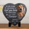 product-fancy-13f8f2e2-fbd7-4181-8552-abb6a8364dd3 Custom Photo You Would Have Lived Forever - Memorial Personalized Custom Memorial Stone - Sympathy Gift, Gift for Pet Owners, Pet Lovers