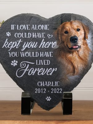 Custom Photo You Would Have Lived Forever - Memorial Personalized Custom Memorial Stone - Sympathy Gift, Gift for Pet Owners, Pet Lovers
