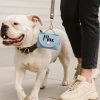 Personalized Dog Poop Bag Holder, Custom Name Dog Waste Bag Holder, Leather Poop Bag Dispenser, Engraved Dog Poop Bag, Custom Dog Mom Gifts