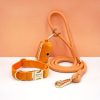 product-fancy-17d2d24d-b30d-4b9f-93a6-857bdb4d0f3f Customizable Soft and Comfortable Velvet Pet Dog Collar with High-Tensile Zinc Alloy Hook Buckle, Hand-Woven Round Rope Waste Bag Set. Free Laser Engraving of Pet Dog's Name and Owner's Phone Number. Dog Birthday Gift, Wedding Gift, Christmas Gift