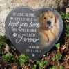product-fancy-1bcefeb8-e4d7-4656-a417-a6e57174290d Custom Photo You Would Have Lived Forever - Memorial Personalized Custom Memorial Stone - Sympathy Gift, Gift for Pet Owners, Pet Lovers
