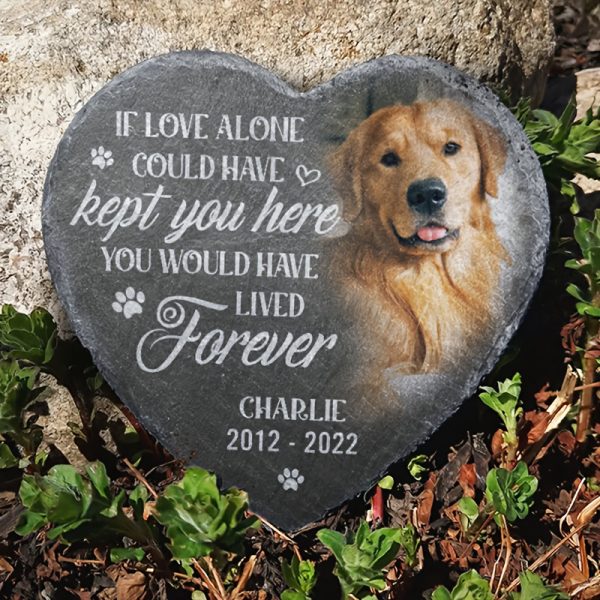 product-fancy-1bcefeb8-e4d7-4656-a417-a6e57174290d Custom Photo You Would Have Lived Forever - Memorial Personalized Custom Memorial Stone - Sympathy Gift, Gift for Pet Owners, Pet Lovers