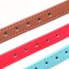 Adjustable Large and Small Dog Collars — Two-In-One Customizable Pet ID and Owner Contact Information