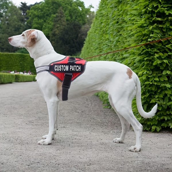 product-fancy-39050c41-e7f5-4cfa-bce3-36a6df26eadd Customizable Reflective Dog Harness - Anti-Escape, Adjustable Pet Chest Vest with Personalized Name & Phone Number Patch, Durable Polyester, Striped Design, Hand-Wash Only, Harness for Dogs