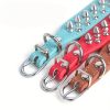 Adjustable Large and Small Dog Collars — Two-In-One Customizable Pet ID and Owner Contact Information