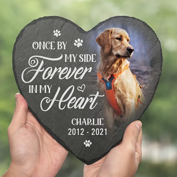product-fancy-4c11b619-a648-4db5-8c38-9d4179310859 Custom Photo You Would Have Lived Forever - Memorial Personalized Custom Memorial Stone - Sympathy Gift, Gift for Pet Owners, Pet Lovers