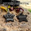 [Custom Edition] ENGRAVNOVE Exclusive Custom Double-Sided Deep-Engraved Small Dog Accessory Pet Tag, Dog Name Tag, Cat Name Tag, with the Design Theme "A Small Boat on the Lake Drifting with the Wind, Ripples Hidden in Autumn". Stainless Steel Cat