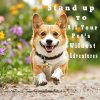 Customized Silent Bone-Shaped Dog Tag with Silicone Material for Pet Identity, Engraved Personalized Pet Tag for Dogs and Cats