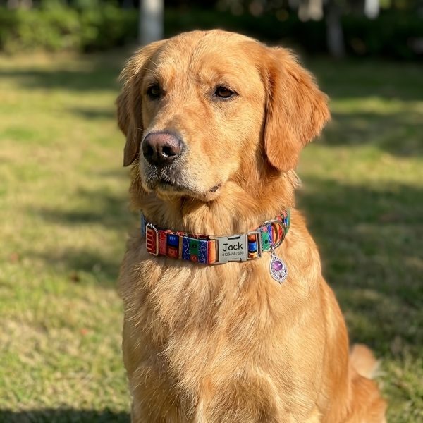 A Personalized Bohemian-Style Pet Collar with a Metal Buckle, Customizable Name And Phone Number Tag, Adjustable Anti-Loss Cat Collar, Soft, Comfortable, And Durable Accessory, Ideal for Outdoor Dog Walking, Perfect Gift for Medium And Small Dogs!