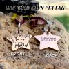[Custom Edition] ENGRAVNOVE Exclusive Custom Double-Sided Deep-Engraved Small Dog Accessory Pet Tag, Dog Name Tag, Cat Name Tag, with the Design Theme "A Small Boat on the Lake Drifting with the Wind, Ripples Hidden in Autumn". Stainless Steel Cat