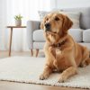 1pc Personalized Engraved Dog ID Tag • Round Cute Flower Pet ID Tag for Dogs and Cats • With Name & Phone Number • Perfect Gift for Small to Medium-Sized Puppies