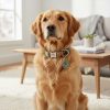 A Personalized Bohemian-Style Pet Collar with a Metal Buckle, Customizable Name And Phone Number Tag, Adjustable Anti-Loss Cat Collar, Soft, Comfortable, And Durable Accessory, Ideal for Outdoor Dog Walking, Perfect Gift for Medium And Small Dogs!