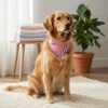 product-fmket-b6f49d860530e9f948ee1b6f447dc330 Custom Stylish Print Dog Bandana, Personalized Adjustable Dog Collar Pet Saliva Towel Dog Costume Necklace for and Medium Sized Dogs for Stocking Stuffers, Ideal Gift for Pets