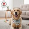 product-fmket-c69490e7f80927df830fdeb0da66db0f Personalized Custom Dog Ornament >>> Name ID Customizable