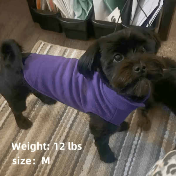 product-open-0b1cfad7168247d59efa8ef795310d3d-goods Golden Glitter Paw Print D-Ring Dog Clothes, All-Season Warm and Comfortable Vest, Personalized Pet Apparel for Small Dogs, Cat and Dog Gift