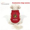 product-open-42bc2bbef8f742618126348465df393b-goods Golden Glitter Paw Print D-Ring Dog Clothes, All-Season Warm and Comfortable Vest, Personalized Pet Apparel for Small Dogs, Cat and Dog Gift