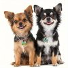 Customized Silent Bone-Shaped Dog Tag with Silicone Material for Pet Identity, Engraved Personalized Pet Tag for Dogs and Cats