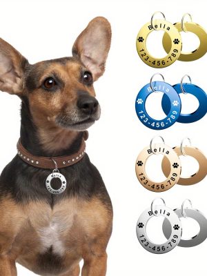 Personalized Stainless Steel Pet Tag > Customizable with Name, ID, Phone Number, and More