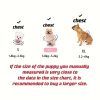 product-open-62eac1f3e26149b88d695e907d5812fd-goods Golden Glitter Paw Print D-Ring Dog Clothes, All-Season Warm and Comfortable Vest, Personalized Pet Apparel for Small Dogs, Cat and Dog Gift