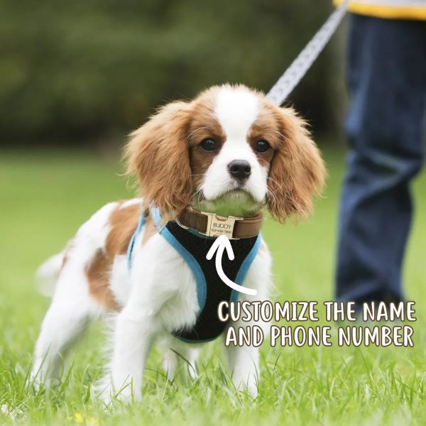 Dog Collar Personalized - with Personalized ID Tag, Customize Pet Name and Owner Information, Comfortable And SmoothTactile Feel, Dog Collars for Medium Dogs, Dog Collars Large Breed, Collar Gift for Dog