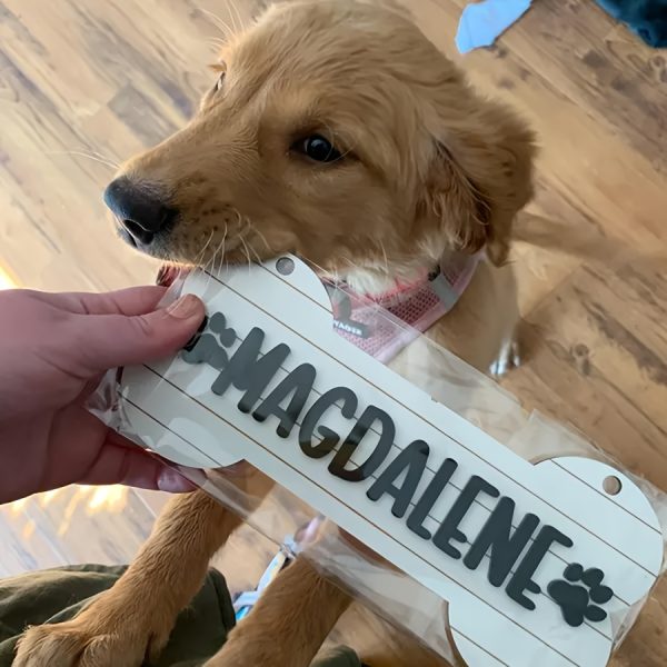 1pc Personalized Dog House Nameplate, Dog Door Sign, Custom Pet Name, Bone-Shaped Cage Tag, Name Tag with Paw Print, Custom Gift for Cat And Dog Lovers, Cage Nameplate