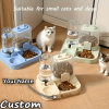 product-open-79ef2fee5a414ac88afbae4bb893aa60-goods Automatic Gravity-Fed Cat & Dog Feeder and Water Dispenser Combo with Name/Text Personalization - Dual Wet/Dry & Water System, Auto Refill (No Batteries), -Spill, Suitable for Kittens and Puppies