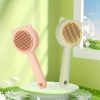 1pc Customizable Name Cat Bathing And Massage Brush - Self-Cleaning Pet Grooming Comb for Shedding, Pink And Green, Soft PP Material, Gentle on Cats, Ideal for Bathing And Hair Removal, Cat Grooming, Perfect Gift Choice