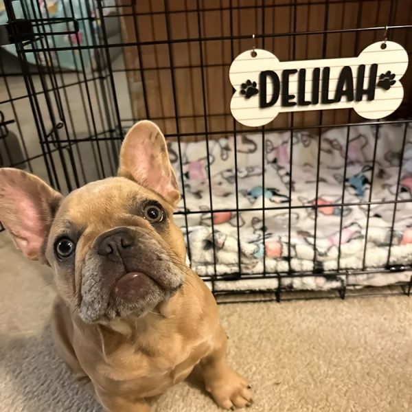 1pc Personalized Dog House Nameplate, Dog Door Sign, Custom Pet Name, Bone-Shaped Cage Tag, Name Tag with Paw Print, Custom Gift for Cat And Dog Lovers, Cage Nameplate