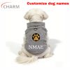 product-open-c2205563af654ffa84ff87039ff5c3c2-goods Golden Glitter Paw Print D-Ring Dog Clothes, All-Season Warm and Comfortable Vest, Personalized Pet Apparel for Small Dogs, Cat and Dog Gift