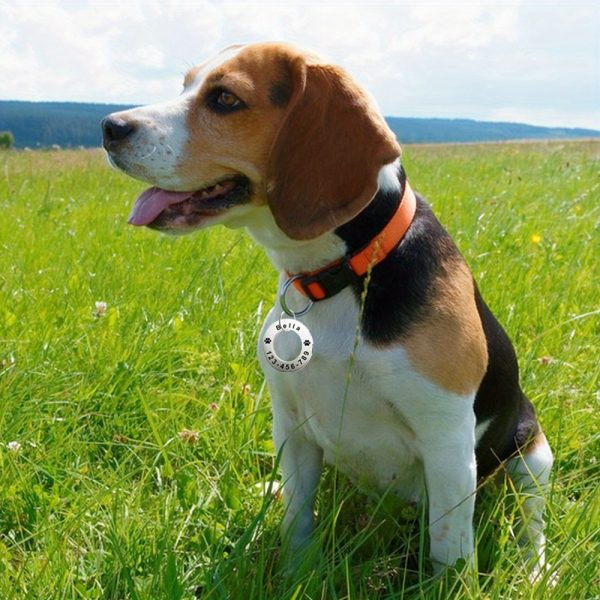 product-open-e77b18107e6346c38dde53f411a640df-goods Personalized Stainless Steel Pet Tag > Customizable with Name, ID, Phone Number, and More